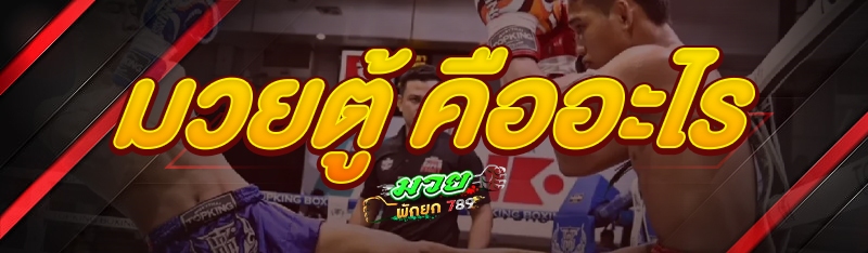 มวยตู้ คืออะไร