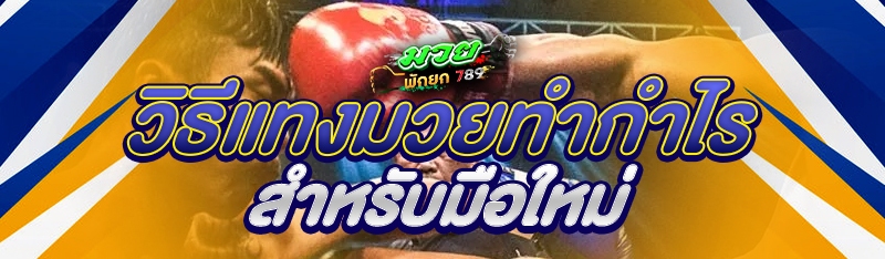 วิธีแทงมวยทำกำไร สำหรับมือใหม่