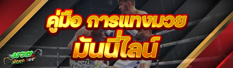 คู่มือ การแทงมวยมันนี่ไลน์