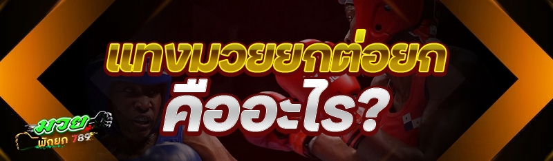 แทงมวยยกต่อยก คืออะไร?