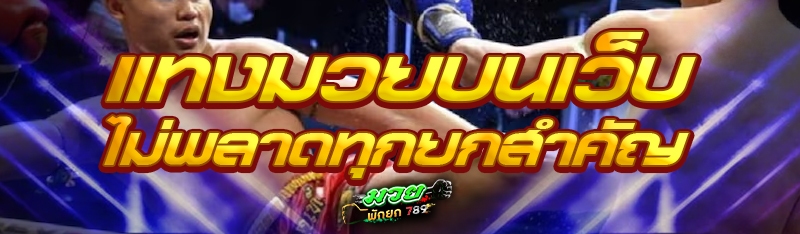 แทงมวยบนเว็บ ไม่พลาดทุกยกสำคัญ