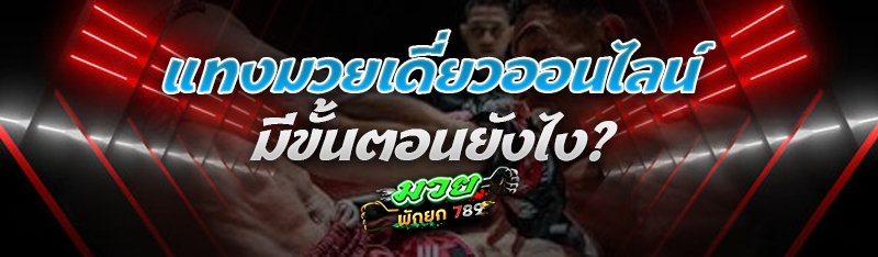 แทงมวยเดี่ยวออนไลน์ มีขั้นตอนยังไง?