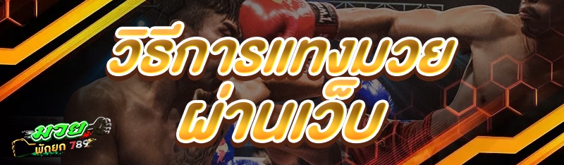 วิธีการแทงมวย ผ่านเว็บ
