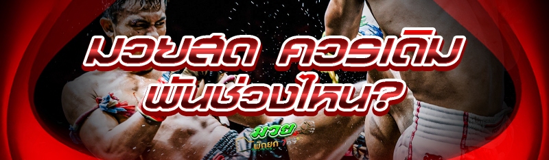 มวยสด ควรเดิมพันช่วงไหน?