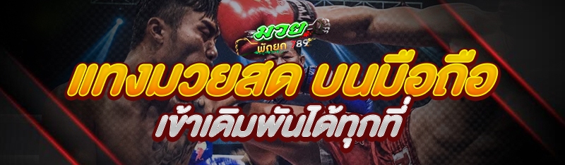 แทงมวยสด บนมือถือ เข้าเดิมพันได้ทุกที่